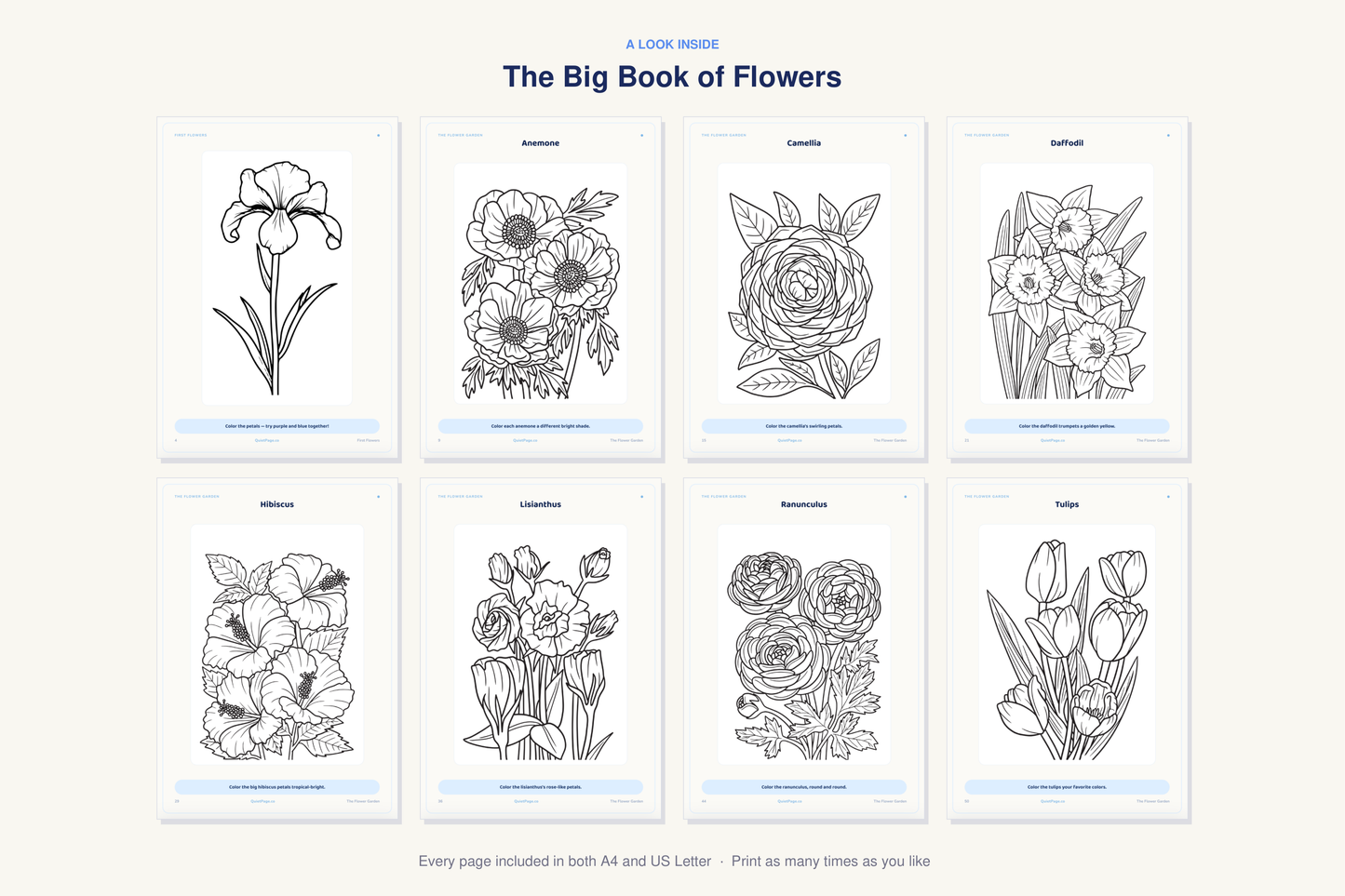 A look inside The Big Book of Flowers — real sample pages from the printable coloring book